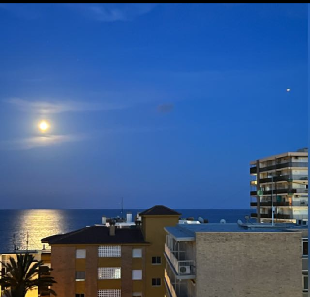  kaufen Wohnung El Campello Alacantí 4