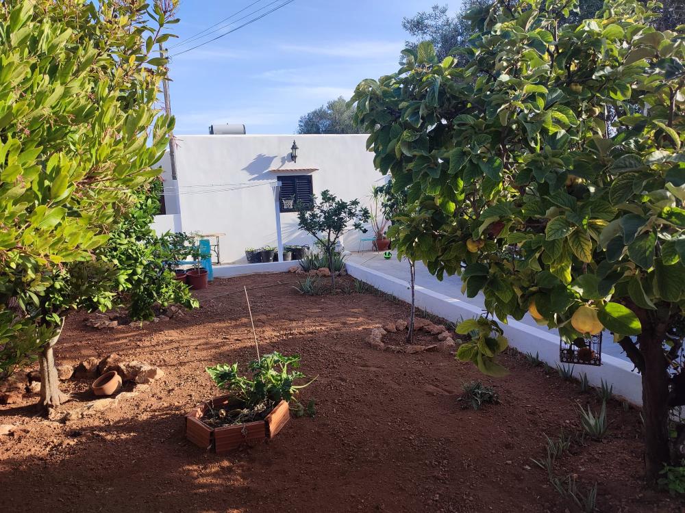  kaufen Haus Sant Jordi De Ses Salines Sant Josep De Sa Talaia 11