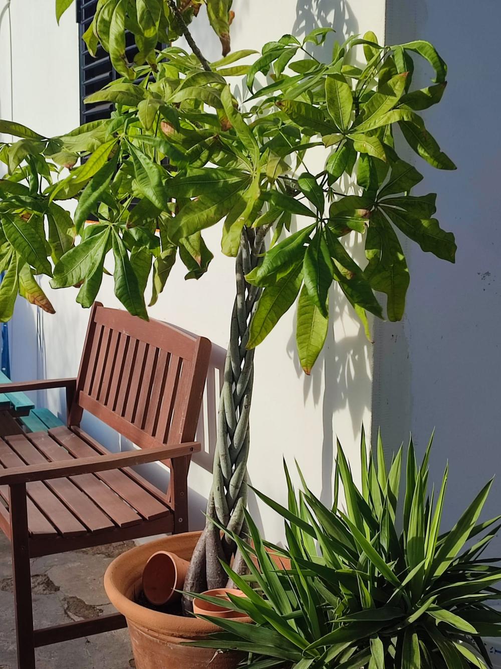  kaufen Haus Sant Jordi De Ses Salines Sant Josep De Sa Talaia 8