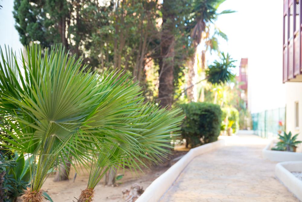  kaufen Wohnung La Duquesa Costa Del Sol Occidental 48