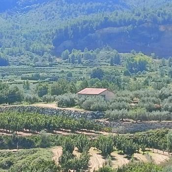 Rugat Vall D''albaida Haus Bild 5499344