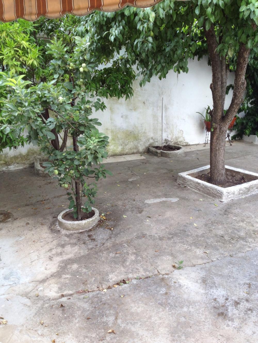  kaufen Haus Quintana De La Serena La Serena 1