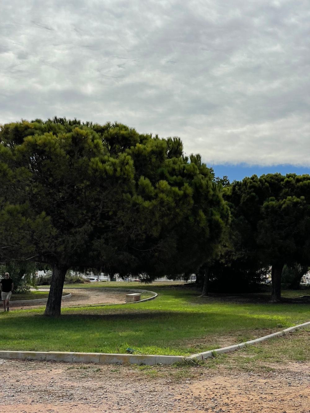  kaufen Reihenhaus Playa De Los Locos-Aguas Nuevas-Torreblanca Baix Segura 35
