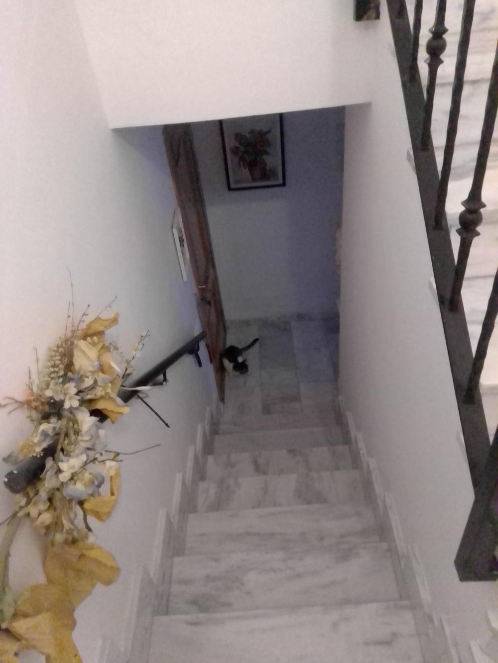  kaufen Penthouse Pozuelo De Calatrava Campo De Calatrava 7