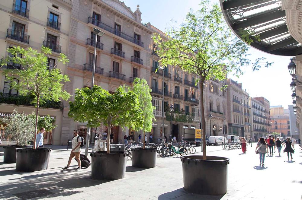  kaufen Wohnung Ciutat Vella-Raval Barcelonès 30