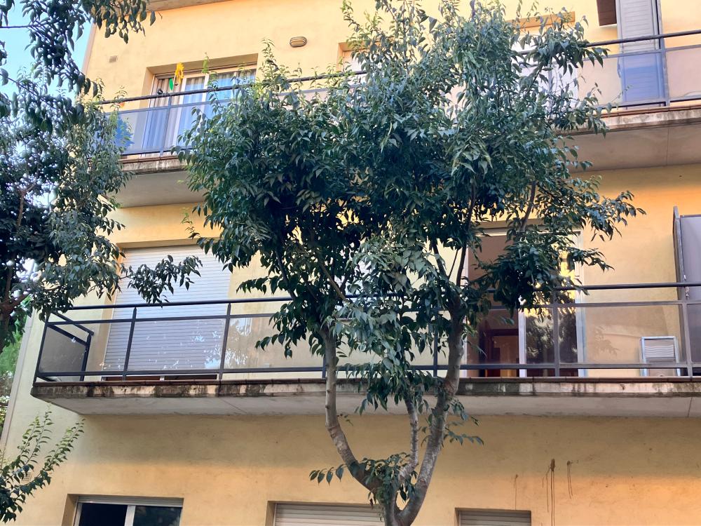  kaufen Wohnung Palafrugell Baix Empordà 2