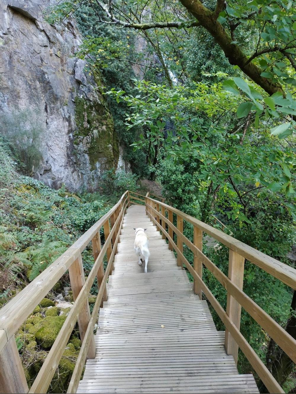  kaufen Haus Serode Tierra De Lemos 6