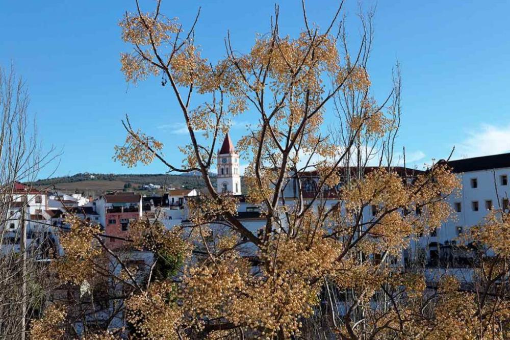  kaufen Villa Arriate Serranía De Ronda 50