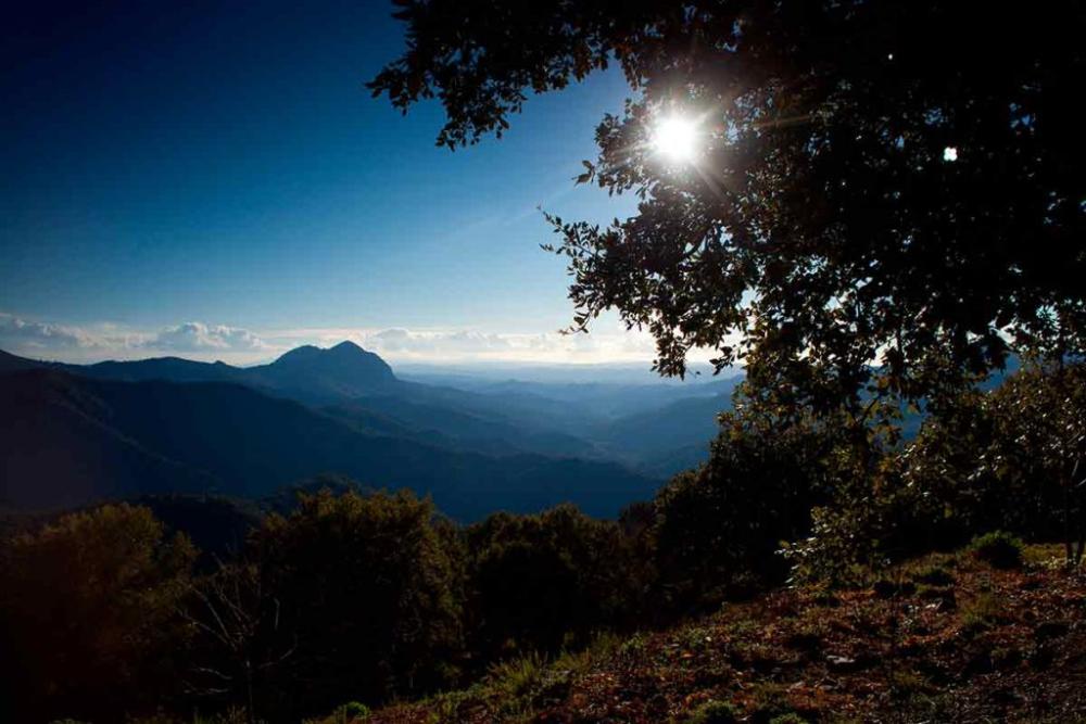  kaufen Villa Arriate Serranía De Ronda 60