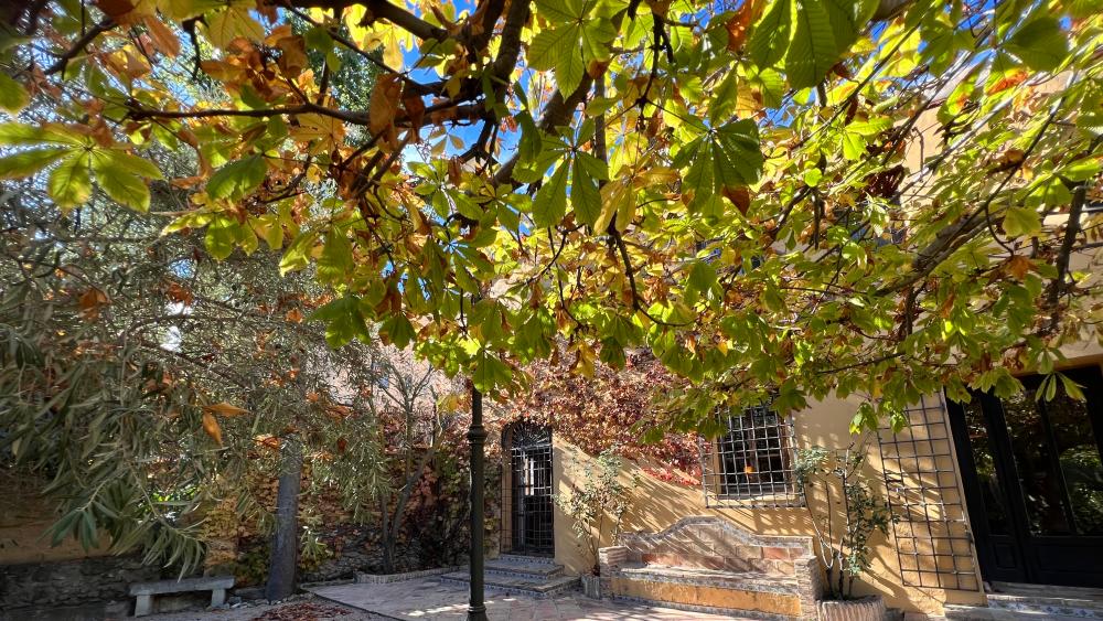  kaufen Villa Biar Alt Vinalopó 19