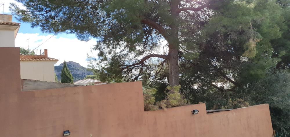  kaufen Villa Benicasim Plana Alta 51