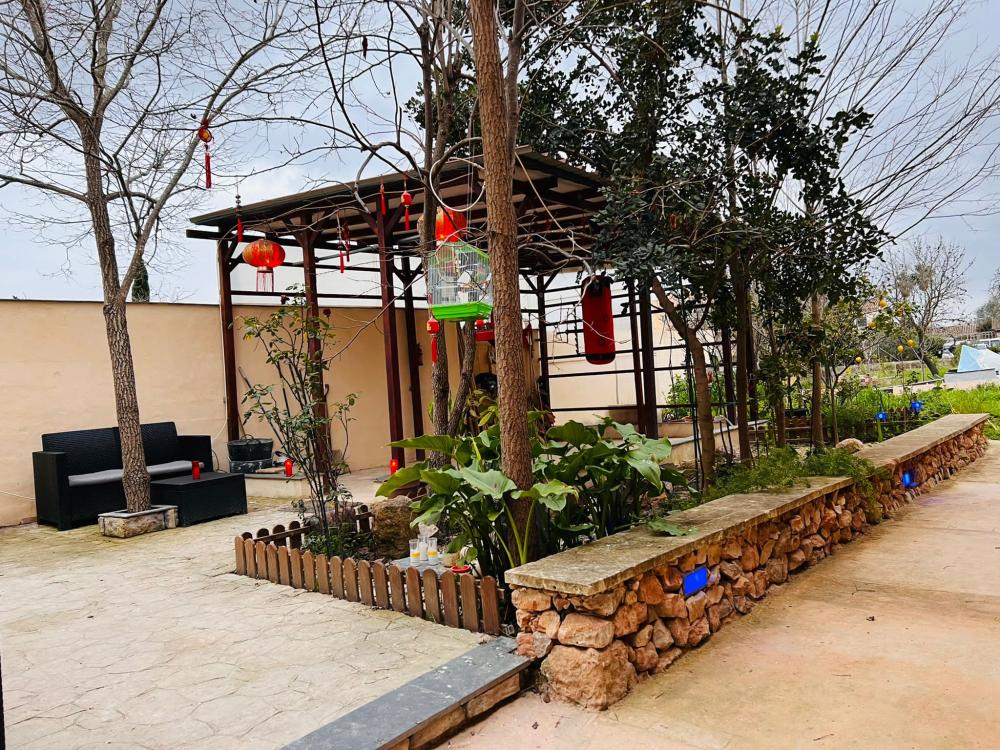  kaufen Haus Santa Maria Del Camí Raiguer 5