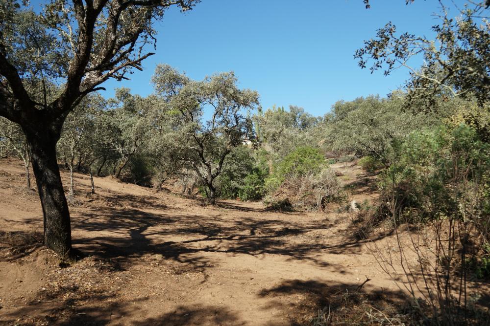  kaufen Grundstück Campoamor Urb. Sierra Norte 8