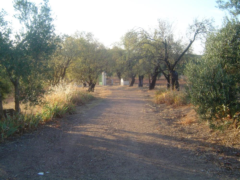  kaufen Landhaus Almendralejo Tierra De Barros 4