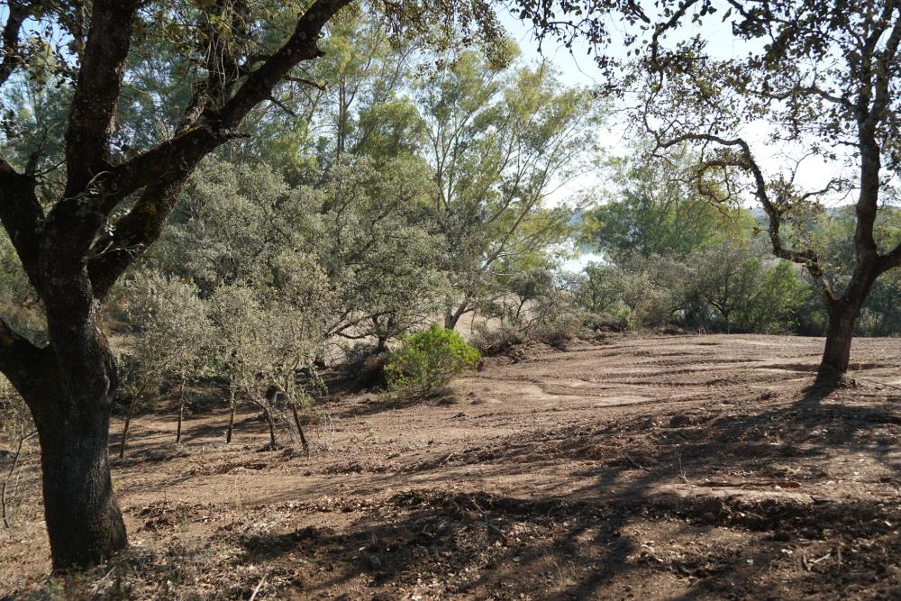  kaufen Grundstück Campoamor Urb. Sierra Norte 7