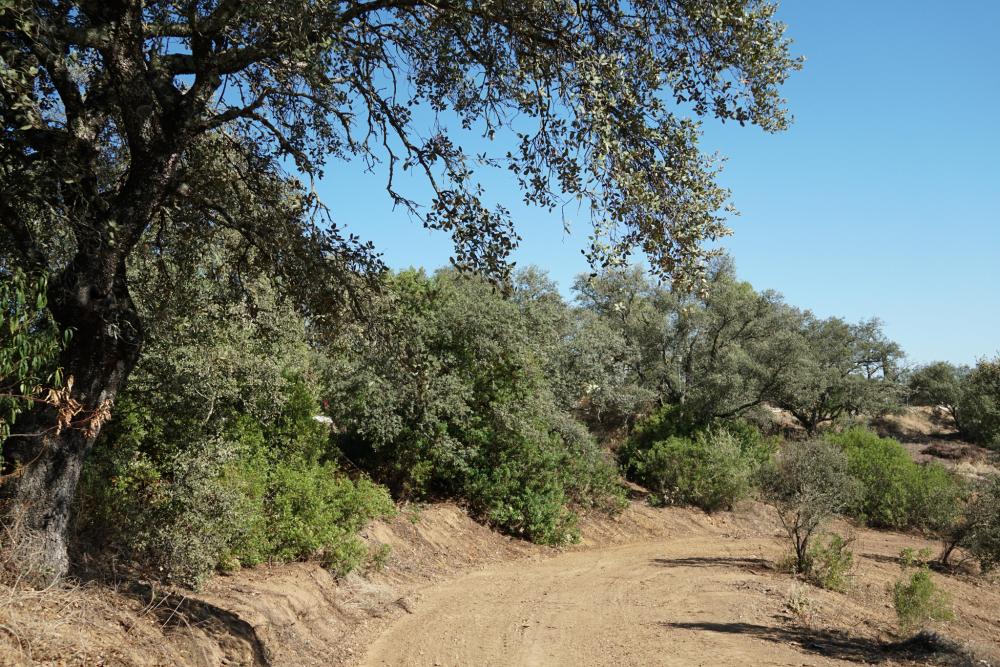  kaufen Grundstück Campoamor Urb. Sierra Norte 3