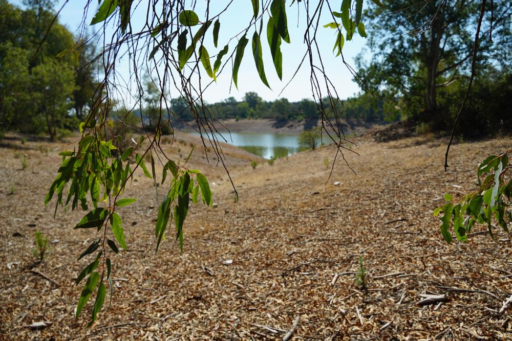  kaufen Grundstück Campoamor Urb. Sierra Norte 2