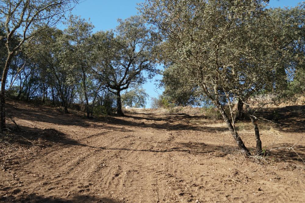  kaufen Grundstück Campoamor Urb. Sierra Norte 4