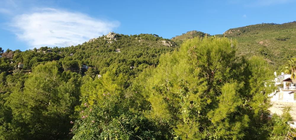  kaufen Villa Benicasim Plana Alta 40