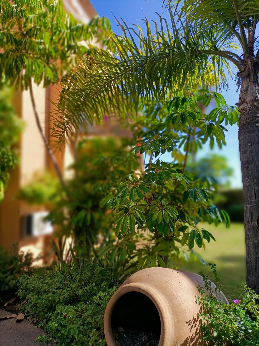  kaufen Villa La Quinta Costa Del Sol Occidental 10