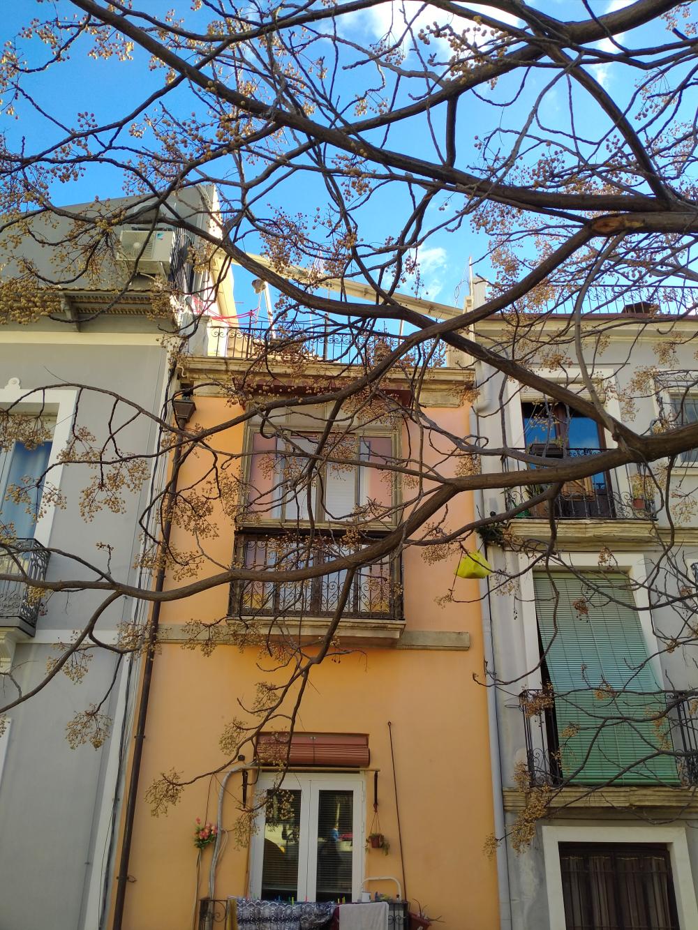  kaufen Gebäude Santa Cruz-Casco Antiguo Alacantí 4