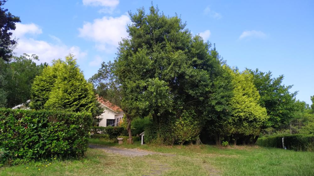  kaufen Haus A Brixeria Bergantiños 27