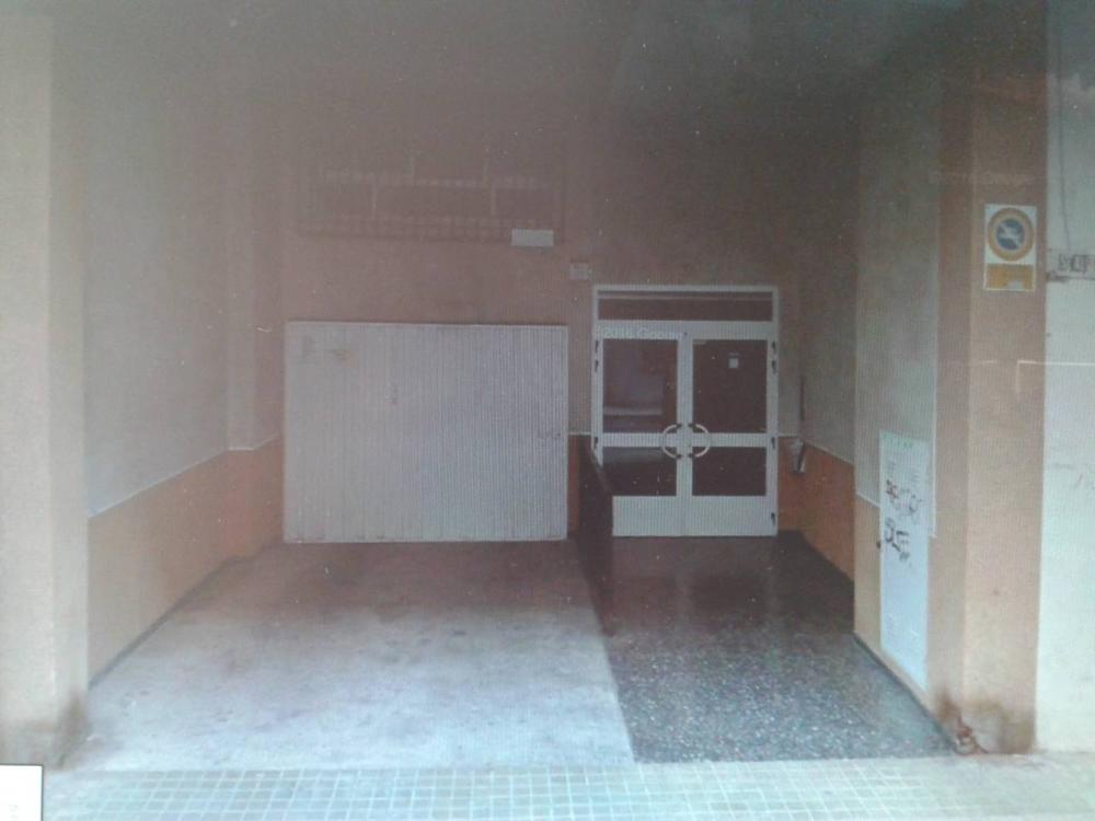  kaufen Wohnung Cruz De Gracia Horta Oest 1
