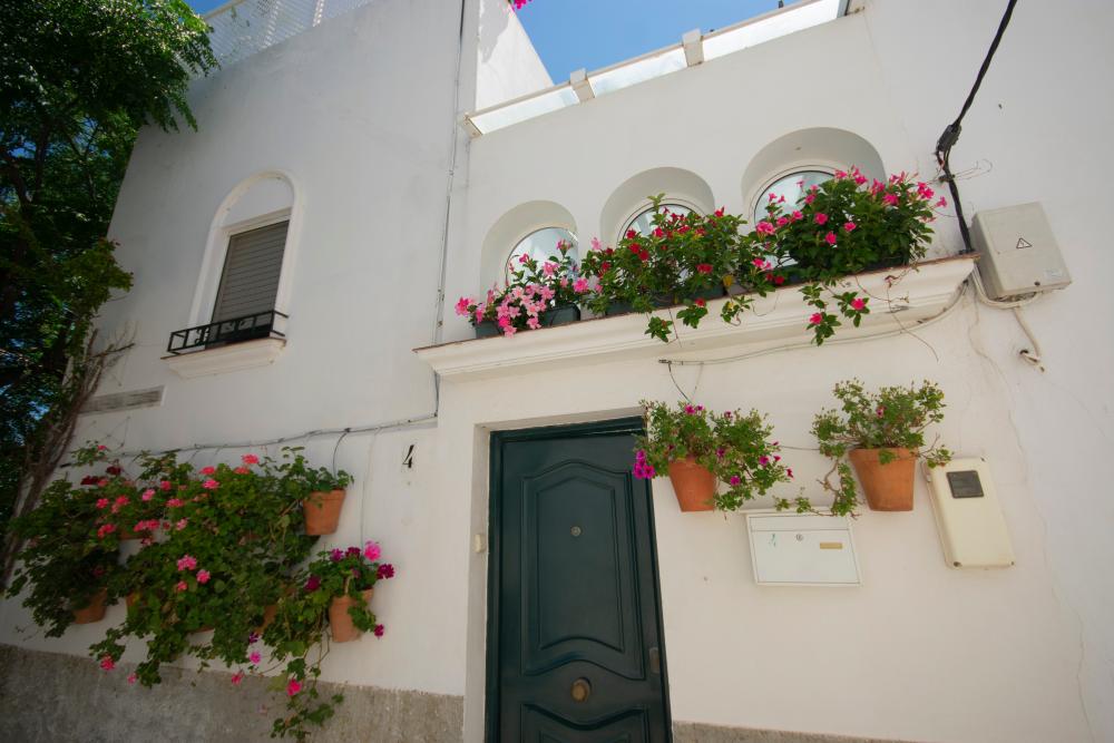  kaufen Haus Vejer De La Frontera Janda (La) 12