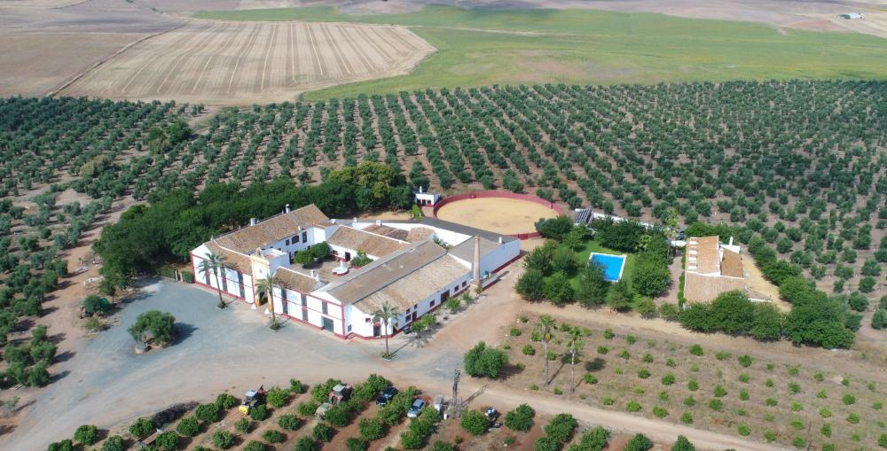  kaufen Villa Carmona Campiña De Carmona 2