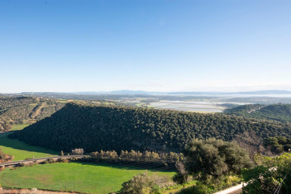  kaufen Haus Vejer De La Frontera Janda (La) 8