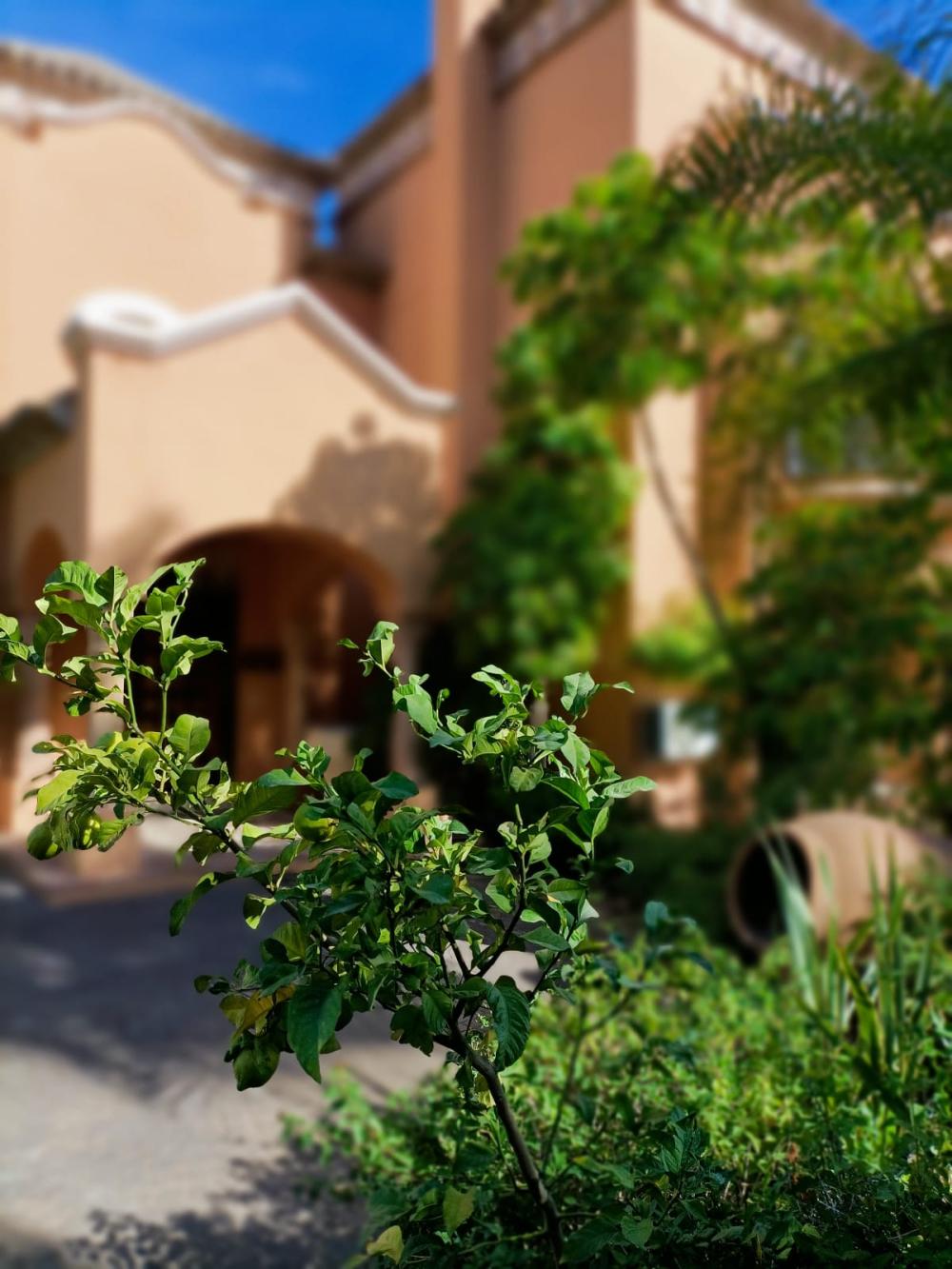  kaufen Villa La Quinta Costa Del Sol Occidental 9