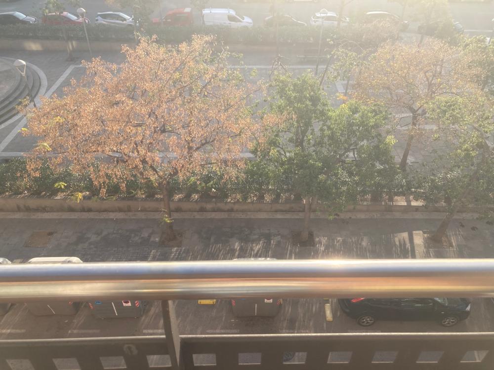  kaufen Wohnung L'hospitalet De Llobregat Centre Barcelonès 12
