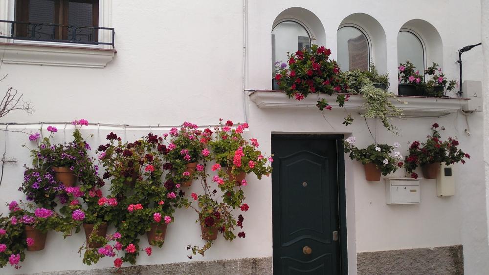  kaufen Haus Vejer De La Frontera Janda (La) 14
