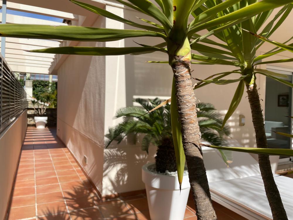  kaufen Villa Paterna Horta Oest 12