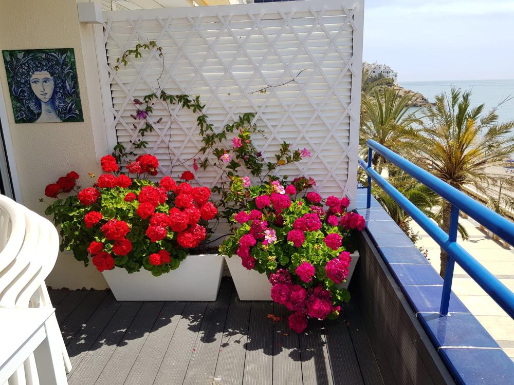  kaufen Penthouse Sitges Garraf 15