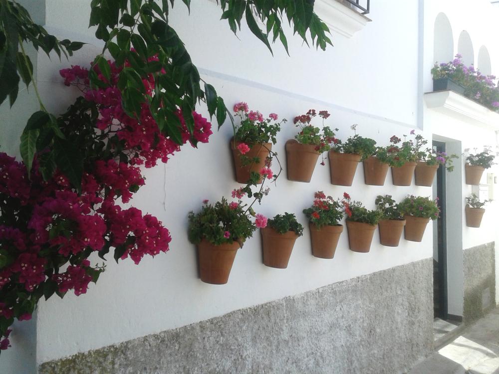  kaufen Haus Vejer De La Frontera Janda (La) 13