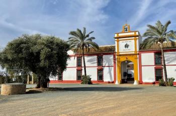 Carmona Campiña De Carmona Villa Bild 5196246