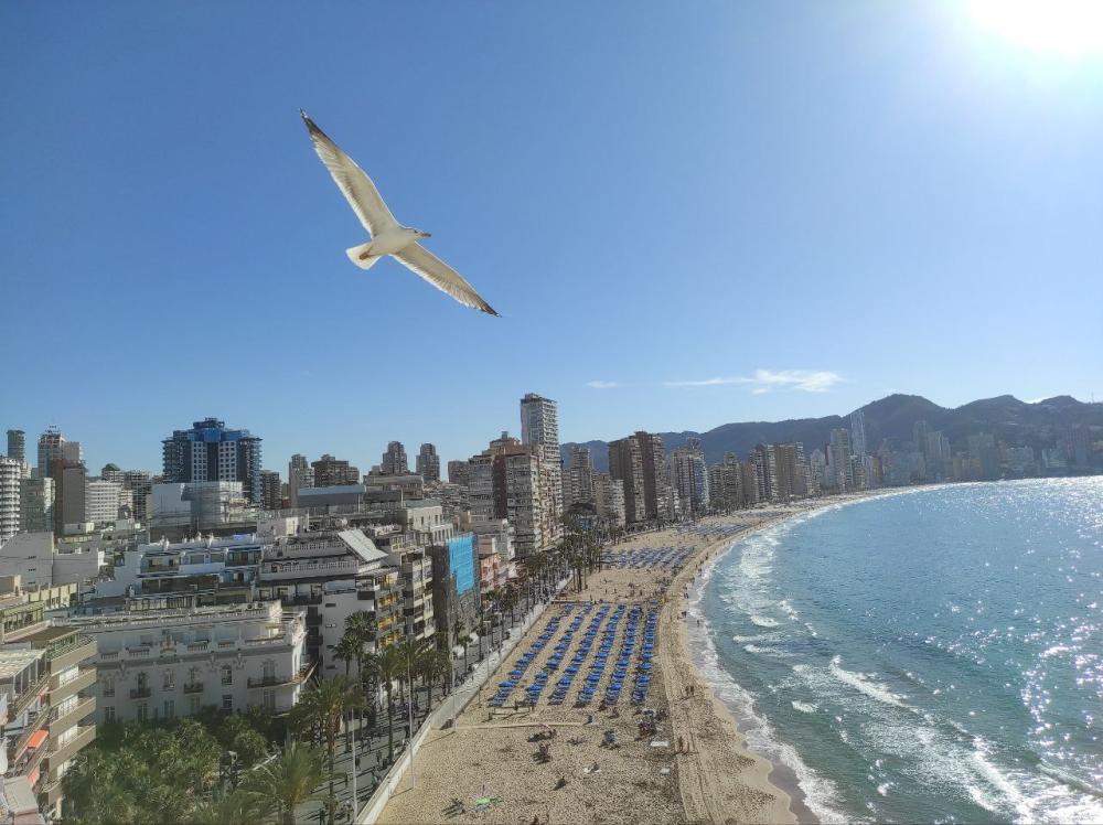  kaufen Wohnung Benidorm (Centro) Marina Baixa 1