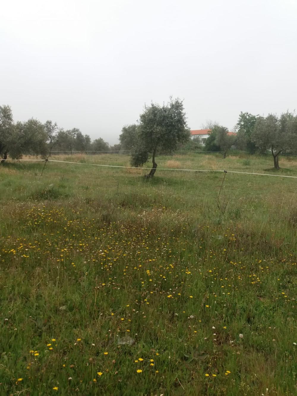  kaufen Landhaus Espiel Valle Del Guadiato 3