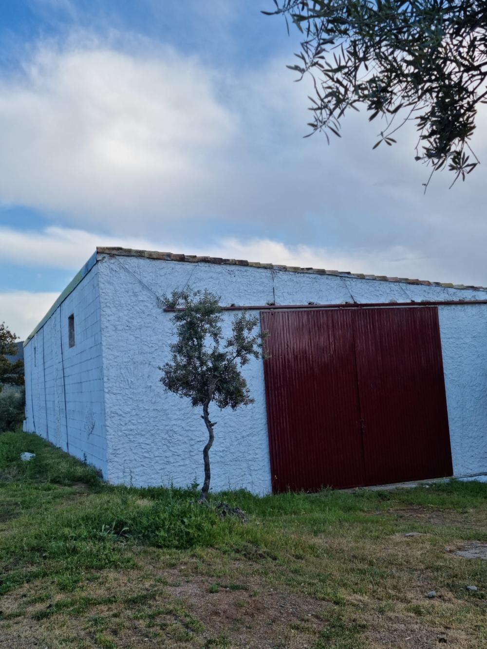  kaufen Landhaus Pozoblanco Pedroches (Los) 18