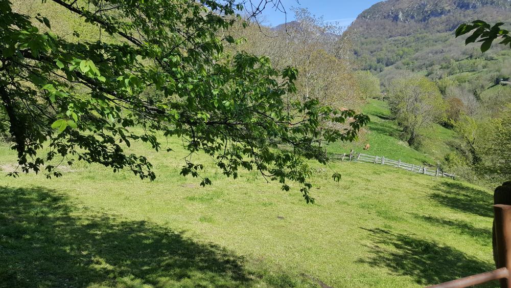  kaufen Landhaus Bezanes Nalón 13