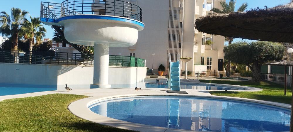  kaufen Wohnung Playa De San Juan Alacantí 6
