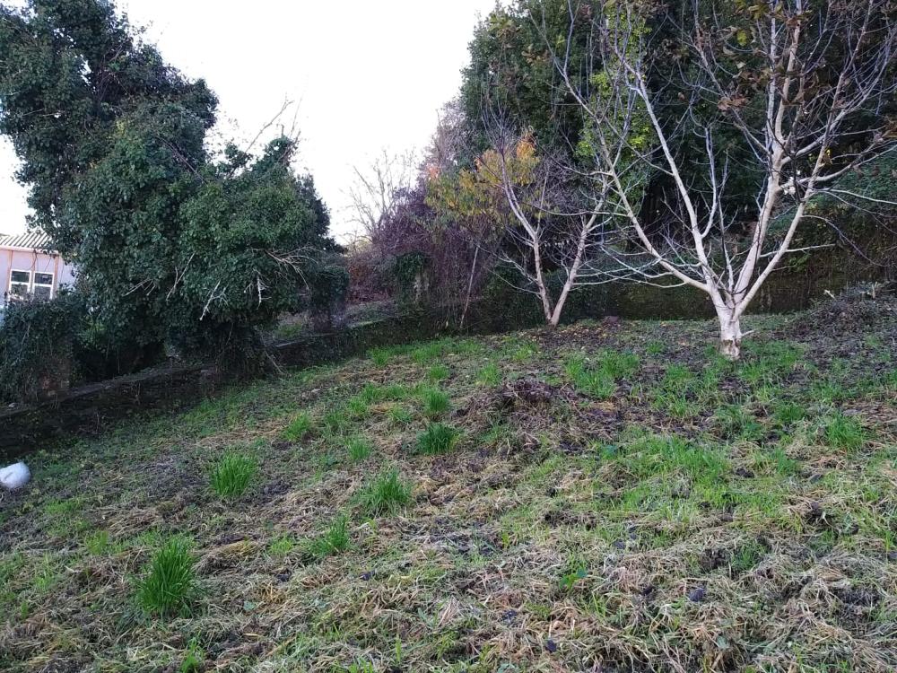  kaufen Haus Pontedeume Eume 6