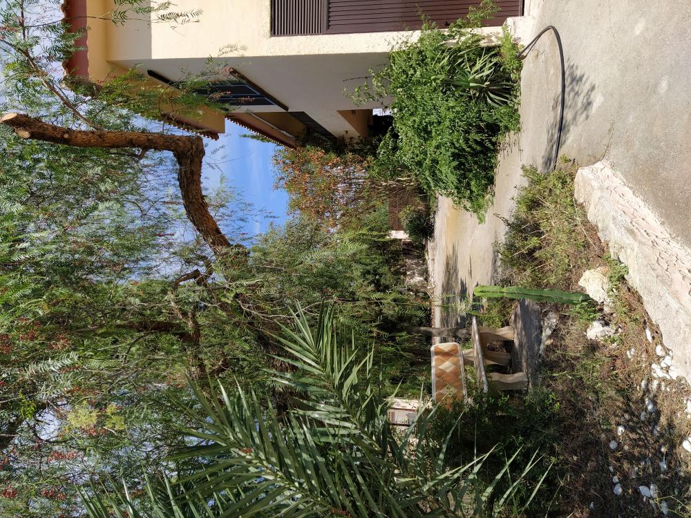  kaufen Villa Toscas-Chorrico Vega Media Del Segura 20