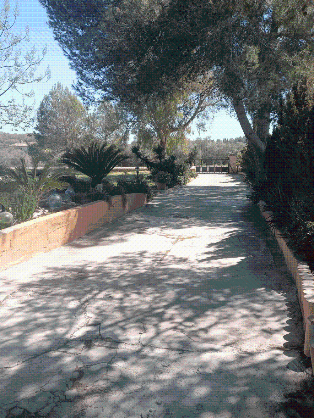  kaufen Villa Biniali Pla (Es) 4