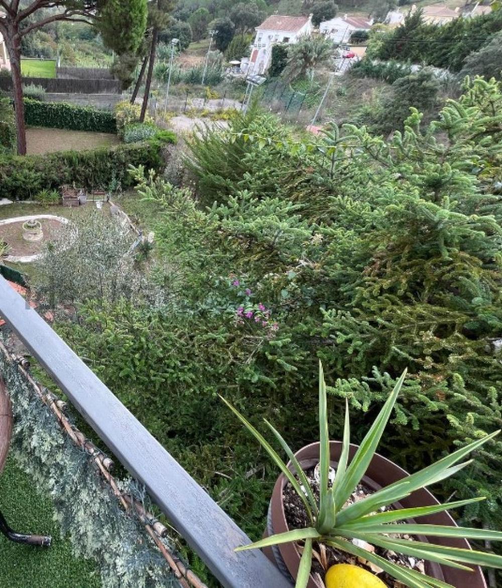  kaufen Villa Condado De Jaruco Selva 9