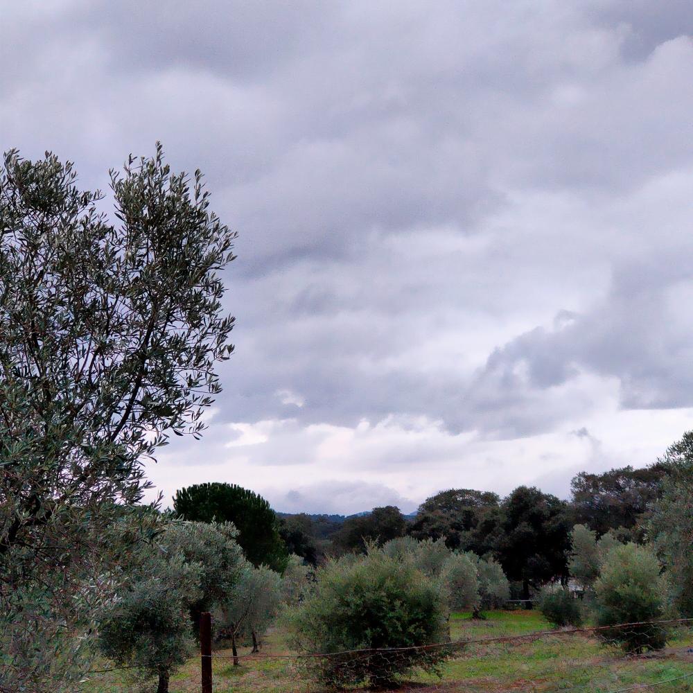  kaufen Landhaus Espiel Valle Del Guadiato 18