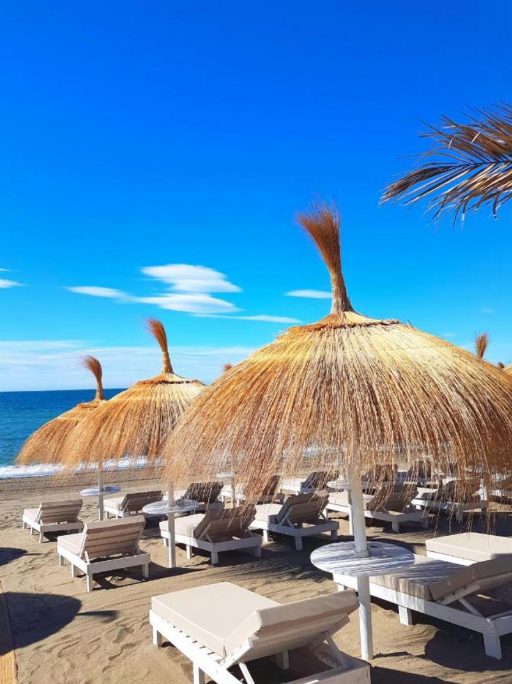  kaufen Hotel Puerto Banús Costa Del Sol Occidental 10