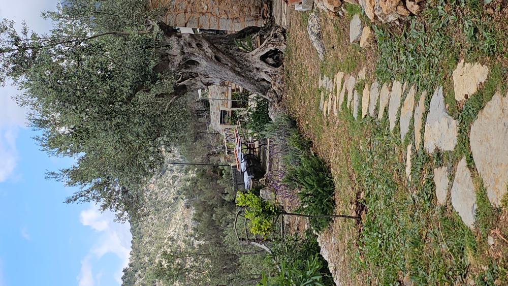  kaufen Landhaus Fornalutx Tramuntana 17