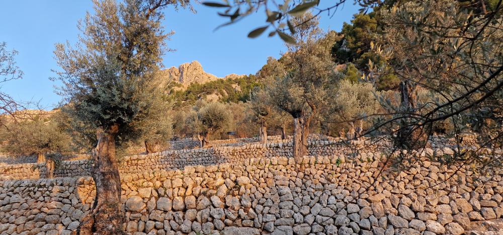  kaufen Landhaus Fornalutx Tramuntana 8